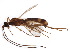  ( - BIOUG17569-F04)  @15 [ ] CreativeCommons - Attribution (2015) CBG Photography Group Centre for Biodiversity Genomics