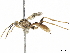  ( - BIOUG18040-B11)  @13 [ ] CreativeCommons - Attribution (2019) CBG Photography Group Centre for Biodiversity Genomics