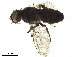  ( - BIOUG18231-E07)  @11 [ ] CreativeCommons - Attribution (2019) CBG Photography Group Centre for Biodiversity Genomics
