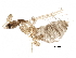  ( - BIOUG24889-H11)  @11 [ ] CreativeCommons - Attribution (2015) CBG Photography Group Centre for Biodiversity Genomics