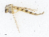  ( - CBG-A13290-C07)  @11 [ ] CreativeCommons - Attribution Share - Alike (2023) CBG Photography Group Centre for Biodiversity Genomics