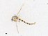  ( - CBG-A13290-D02)  @11 [ ] CreativeCommons - Attribution Share - Alike (2023) CBG Photography Group Centre for Biodiversity Genomics