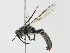  ( - CBG-A13325-E11)  @11 [ ] CreativeCommons - Attribution Share - Alike (2023) CBG Photography Group Centre for Biodiversity Genomics