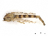  ( - CBG-A13325-G06)  @11 [ ] CreativeCommons - Attribution Share - Alike (2023) CBG Photography Group Centre for Biodiversity Genomics