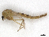  ( - CBG-A13325-H01)  @11 [ ] CreativeCommons - Attribution Share - Alike (2023) CBG Photography Group Centre for Biodiversity Genomics