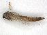  ( - CBG-A13325-H05)  @11 [ ] CreativeCommons - Attribution Share - Alike (2023) CBG Photography Group Centre for Biodiversity Genomics