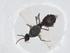  ( - CBG-A14325-G07)  @11 [ ] CreativeCommons - Attribution Share - Alike (2023) Centre for Biodiversity Genomics Centre for Biodiversity Genomics