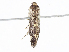  ( - CBG-A14967-H03)  @11 [ ] CreativeCommons - Attribution Share - Alike (2023) CBG Photography Group Centre for Biodiversity Genomics