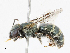  ( - CBG-A14968-A05)  @11 [ ] CreativeCommons - Attribution Share - Alike (2023) CBG Photography Group Centre for Biodiversity Genomics