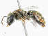  ( - CBG-A14968-D04)  @11 [ ] CreativeCommons - Attribution Share - Alike (2023) CBG Photography Group Centre for Biodiversity Genomics