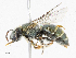  ( - CBG-A14968-D06)  @11 [ ] CreativeCommons - Attribution Share - Alike (2023) CBG Photography Group Centre for Biodiversity Genomics