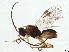  ( - BIOUG18289-G11)  @11 [ ] CreativeCommons - Attribution (2023) CBG Photography Group Centre for Biodiversity Genomics