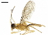  ( - BIOUG18290-D09)  @14 [ ] CreativeCommons - Attribution (2019) CBG Photography Group Centre for Biodiversity Genomics