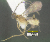  ( - BIOUG18290-G11)  @11 [ ] CreativeCommons Attribution NonCommercial ShareAlike (2021) M. J. Sharkey University of Kentucky