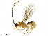  ( - BIOUG18398-B01)  @13 [ ] CreativeCommons - Attribution (2019) CBG Photography Group Centre for Biodiversity Genomics