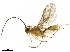  ( - BIOUG18398-C09)  @14 [ ] CreativeCommons - Attribution (2019) CBG Photography Group Centre for Biodiversity Genomics