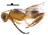  ( - BIOUG18398-G03)  @11 [ ] CreativeCommons - Attribution (2017) CBG Photography Group Centre for Biodiversity Genomics