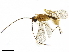  ( - BIOUG18398-G06)  @13 [ ] CreativeCommons - Attribution (2019) CBG Photography Group Centre for Biodiversity Genomics