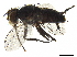  ( - BIOUG18433-G01)  @11 [ ] CreativeCommons - Attribution (2019) CBG Photography Group Centre for Biodiversity Genomics
