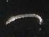  ( - BIOUG01724-H09)  @12 [ ] CreativeCommons - Attribution (2012) Gillian Martin Centre for Biodiversity Genomics
