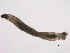  ( - BIOUG02690-D08)  @12 [ ] CreativeCommons - Attribution (2012) Gillian Martin Centre for Biodiversity Genomics