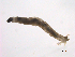  ( - BIOUG02690-D10)  @12 [ ] CreativeCommons - Attribution (2012) Gillian Martin Centre for Biodiversity Genomics