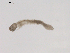  (Simulium sp. BOLDAAB7749 - BIOUG02699-A05)  @12 [ ] CreativeCommons - Attribution (2012) Gillian Martin Centre for Biodiversity Genomics