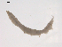  ( - BIOUG02699-B01)  @12 [ ] CreativeCommons - Attribution (2012) Gillian Martin Centre for Biodiversity Genomics