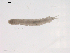  ( - BIOUG02699-B05)  @12 [ ] CreativeCommons - Attribution (2012) Gillian Martin Centre for Biodiversity Genomics