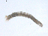  ( - BIOUG02700-C01)  @12 [ ] CreativeCommons - Attribution (2012) Gillian Martin Centre for Biodiversity Genomics