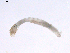  ( - BIOUG02700-C11)  @12 [ ] CreativeCommons - Attribution (2012) Gillian Martin Centre for Biodiversity Genomics