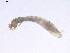  (Simulium sp. BOLDAAA4121 - BIOUG02700-D05)  @12 [ ] CreativeCommons - Attribution (2012) Gillian Martin Centre for Biodiversity Genomics