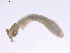  ( - BIOUG02700-E07)  @12 [ ] CreativeCommons - Attribution (2012) Gillian Martin Centre for Biodiversity Genomics