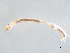  ( - BIOUG03303-B01)  @12 [ ] CreativeCommons - Attribution (2012) Krisselle Rondolo Centre for Biodiversity Genomics