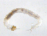  ( - BIOUG03303-D08)  @12 [ ] CreativeCommons - Attribution (2012) Krisselle Rondolo Centre for Biodiversity Genomics