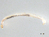  ( - BIOUG03306-B02)  @12 [ ] CreativeCommons - Attribution (2012) Gillian Martin Centre for Biodiversity Genomics