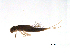  ( - BIOUG02692-C09)  @12 [ ] CreativeCommons - Attribution (2012) Gillian Martin Centre for Biodiversity Genomics