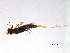  ( - BIOUG02692-D02)  @12 [ ] CreativeCommons - Attribution (2012) Gillian Martin Centre for Biodiversity Genomics
