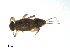  ( - BIOUG02692-H09)  @12 [ ] CreativeCommons - Attribution (2012) Gillian Martin Centre for Biodiversity Genomics