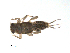  ( - BIOUG02692-H10)  @13 [ ] CreativeCommons - Attribution (2012) Gillian Martin Centre for Biodiversity Genomics