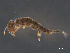  ( - BIOUG02702-F08)  @13 [ ] CreativeCommons - Attribution (2012) Gillian Martin Centre for Biodiversity Genomics