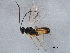  ( - BIOUG12233-D07)  @13 [ ] CreativeCommons - Attribution (2014) CBG Photography Group Centre for Biodiversity Genomics