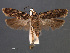  ( - SL0460)  @14 [ ] CreativeCommons - Attribution Non-Commercial Share-Alike (2011) Sangmi Lee Mississippi Entomological Museum