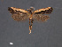  ( - SL0472)  @12 [ ] CreativeCommons - Attribution Non-Commercial Share-Alike (2011) Sangmi Lee Mississippi Entomological Museum
