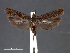  ( - SL0481)  @13 [ ] CreativeCommons - Attribution Non-Commercial Share-Alike (2011) Sangmi Lee Mississippi Entomological Museum
