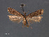  ( - SL0482)  @14 [ ] CreativeCommons - Attribution Non-Commercial Share-Alike (2011) Sangmi Lee Mississippi Entomological Museum