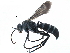  (Aporinellus simulans - BIOUG14404-G06)  @15 [ ] CreativeCommons - Attribution (2015) CBG Photography Group Centre for Biodiversity Genomics