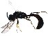  ( - BIOUG14820-G07)  @13 [ ] CreativeCommons - Attribution (2016) CBG Photography Group Centre for Biodiversity Genomics
