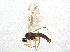  ( - BIOUG04085-C11)  @12 [ ] CreativeCommons - Attribution (2013) CBG Photography Group Centre for Biodiversity Genomics