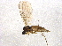  ( - BIOUG04085-E06)  @13 [ ] CreativeCommons - Attribution (2013) CBG Photography Group Centre for Biodiversity Genomics